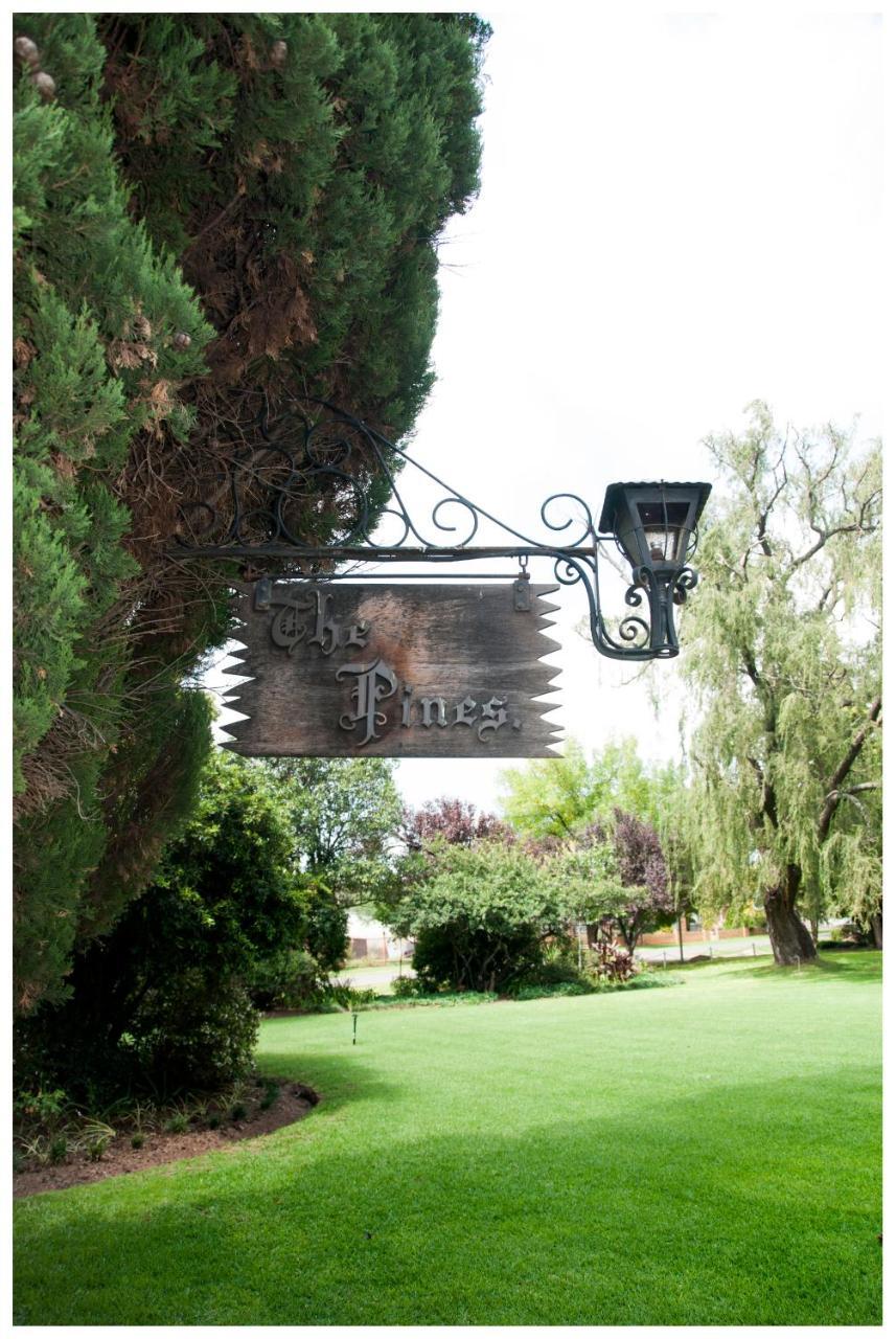 Shady Pines Guest House Harrismith Eksteriør bilde